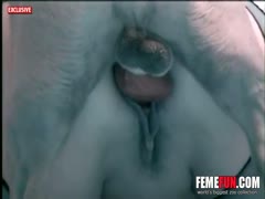 A dog and a stud are having sex in Japan.